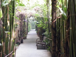 Shewe Wana Suite Resort, Chiang Mai