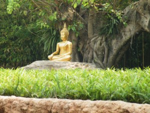 Garden in Wat Chedi Luang Complex