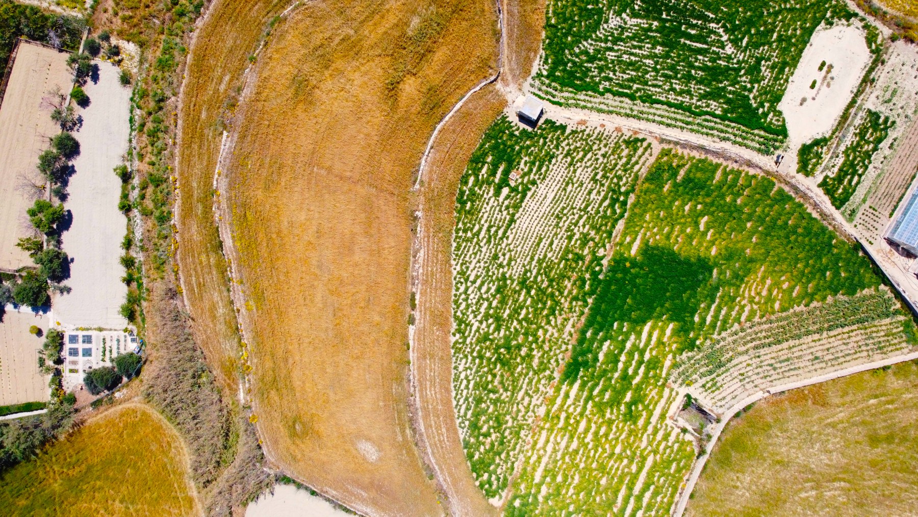 Top-down view of golden fields and green crop rows in Gozo