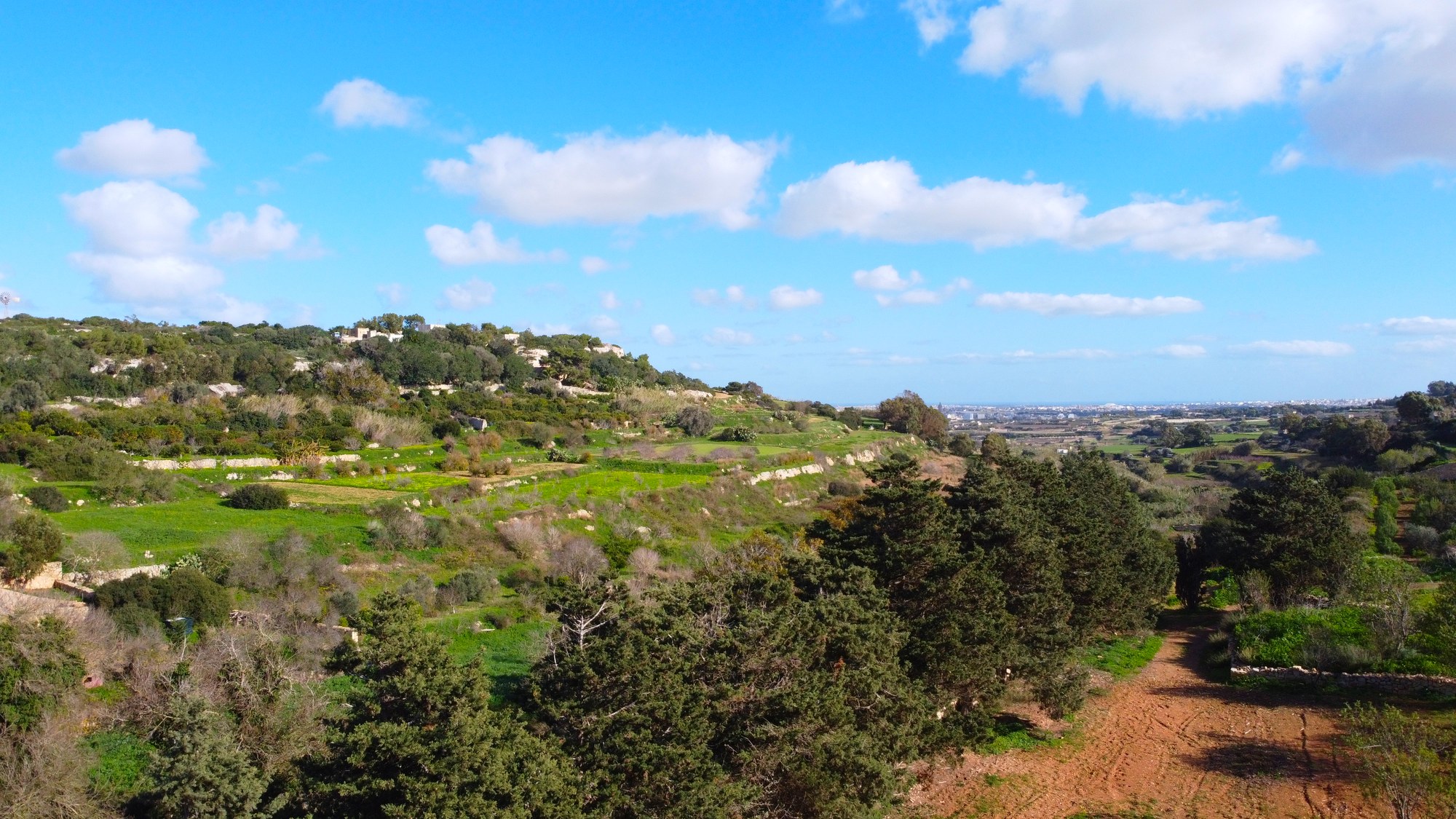 A green Maltese valley divided by fields, trees and old stone walls