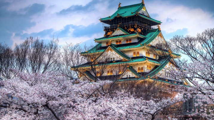 21 Days in Japan