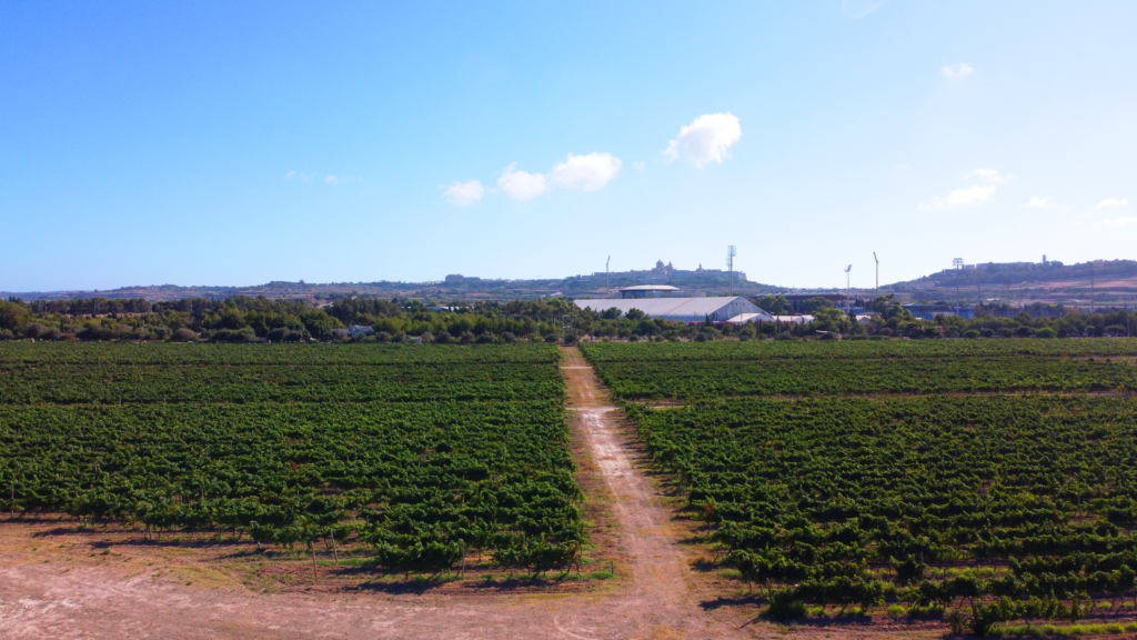 Meridiana Estate